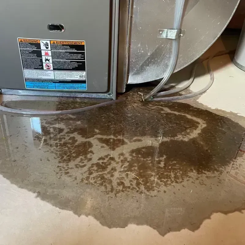 Appliance Leak Cleanup in Rockdale, IL